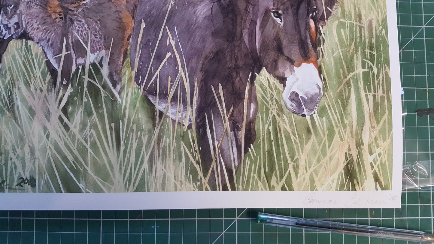 Donkeys at Lough Meelagh - Giclee Print 20x16'' inches on Fine Art Paper or Canvas.
