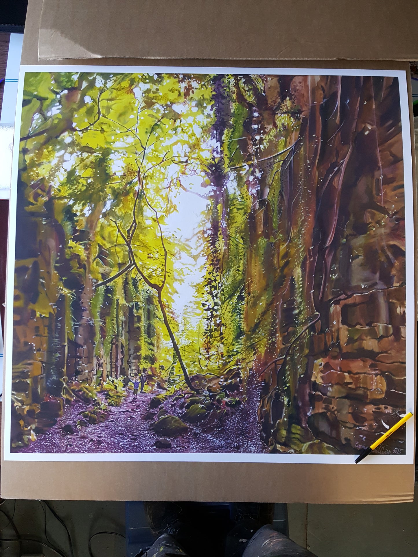 ' The Glen Strandhill ' - Co. Sligo , Ireland -Giclée art print.