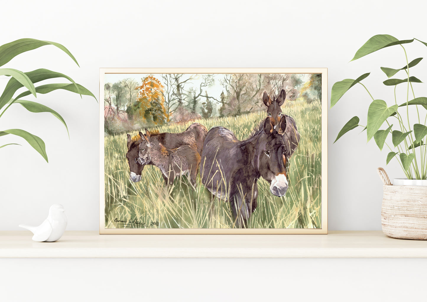 Donkeys at Lough Meelagh - Giclee Print 20x16'' inches on Fine Art Paper or Canvas.