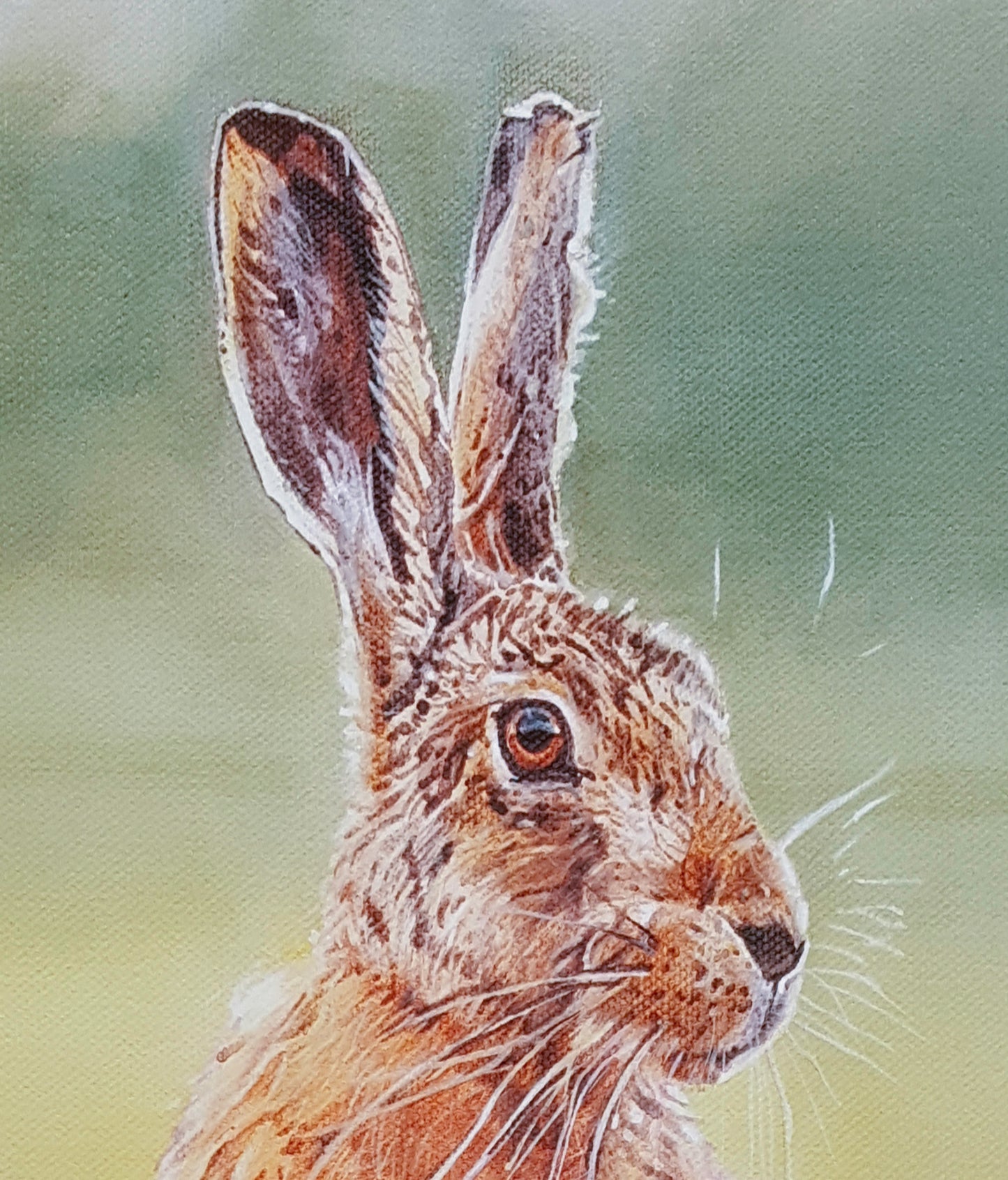 Hare - Giclee Print