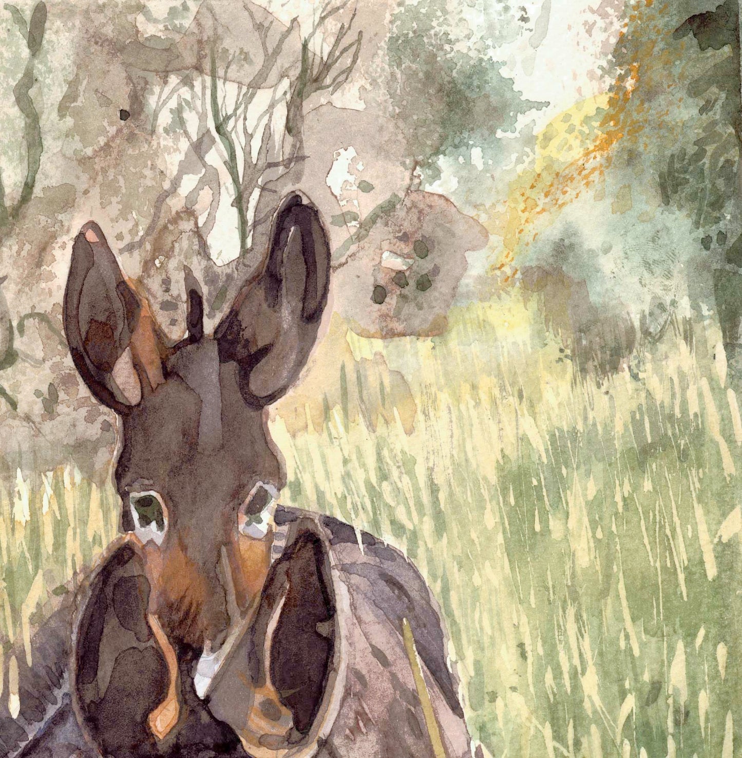 Donkeys at Lough Meelagh - Giclee Print 20x16'' inches on Fine Art Paper or Canvas.