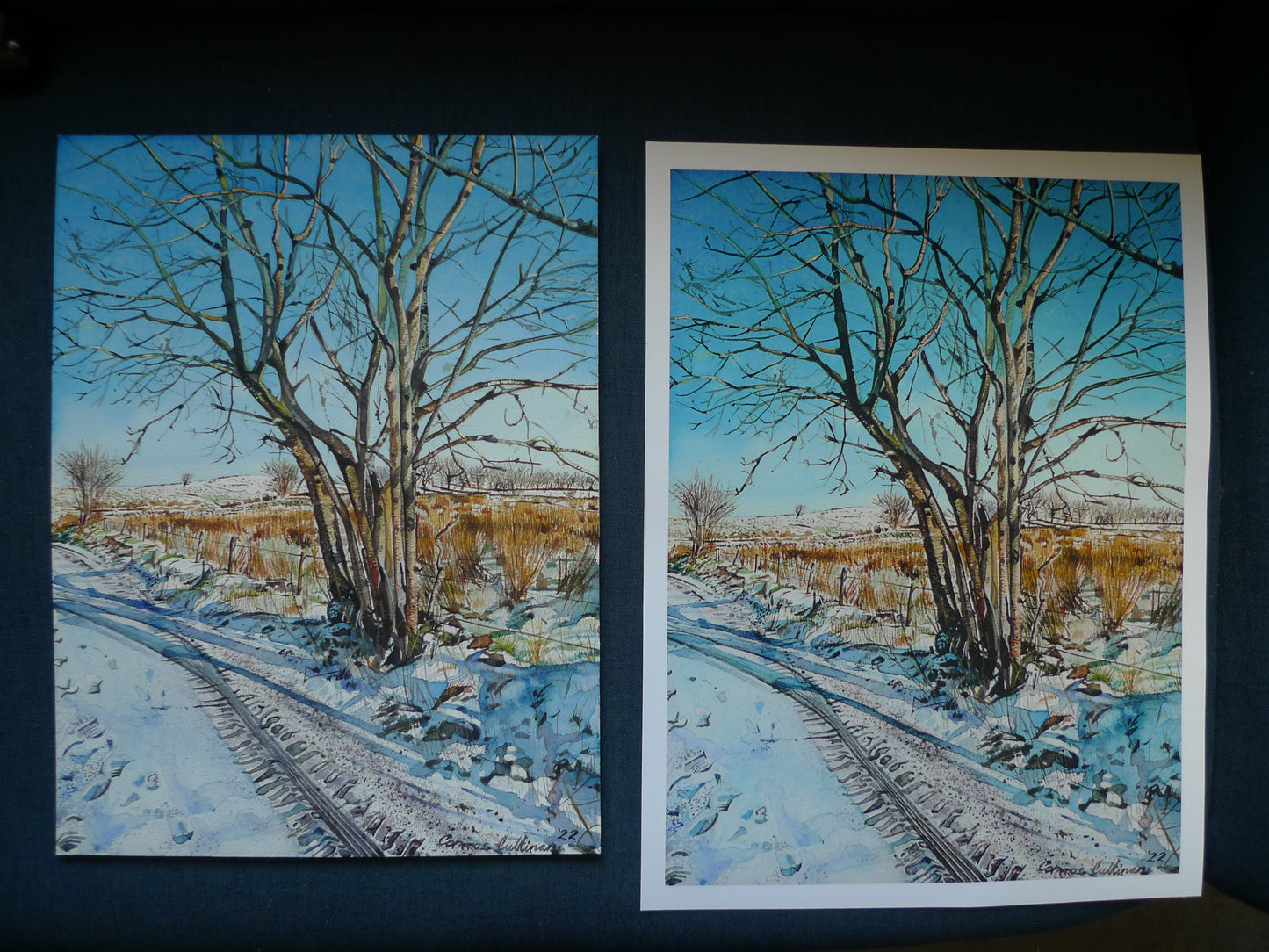 Sun Snow Shadows - Giclee print