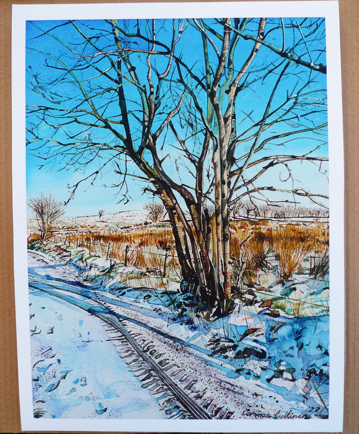 Sun Snow Shadows - Giclee print