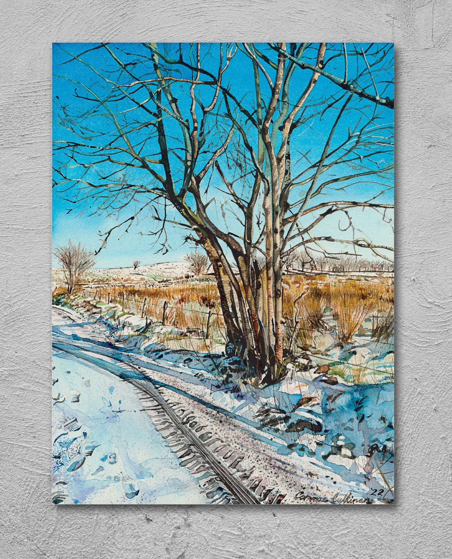 Sun Snow Shadows - Giclee print