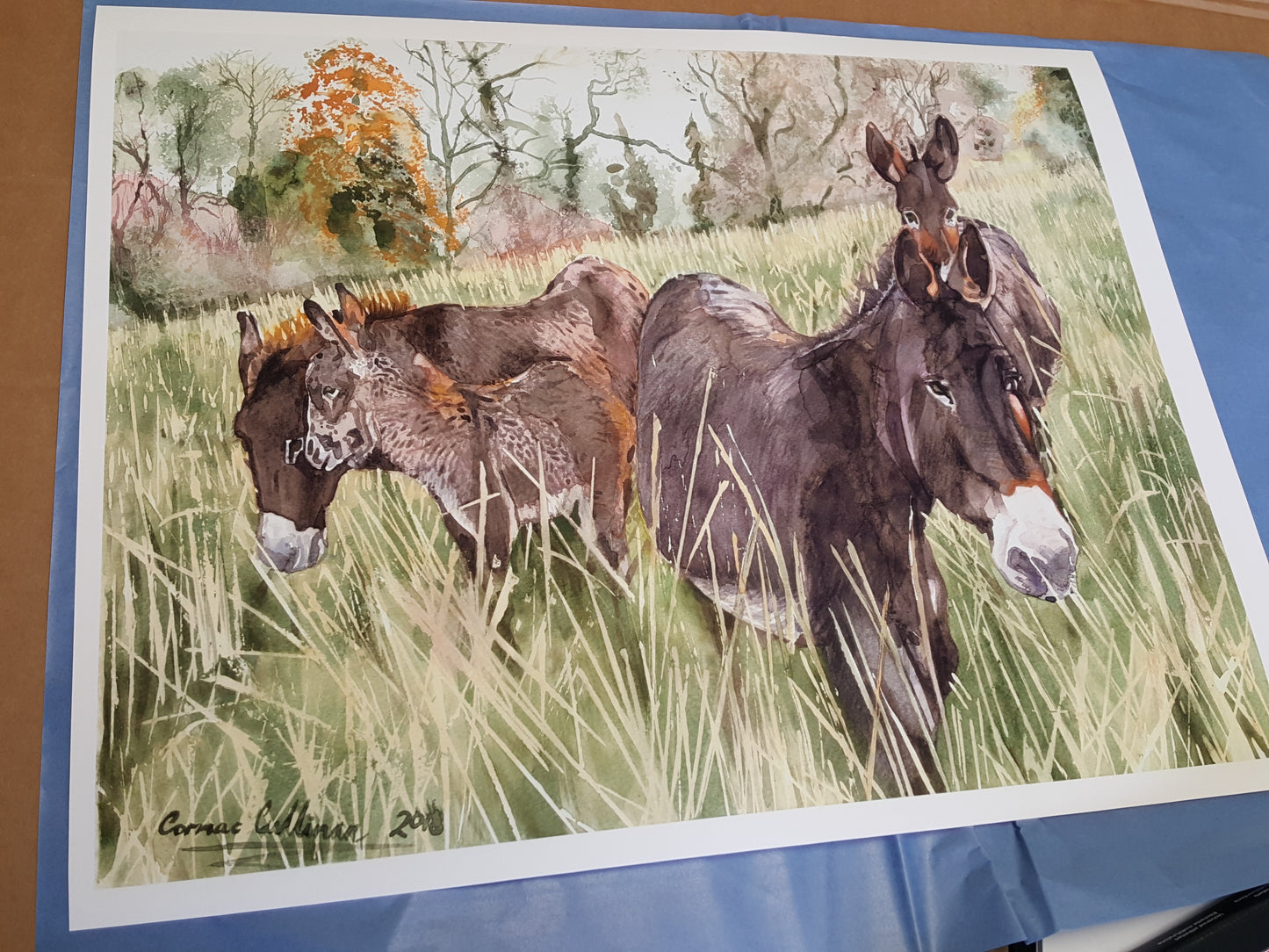 Donkeys at Lough Meelagh - Giclee Print 20x16'' inches on Fine Art Paper or Canvas.