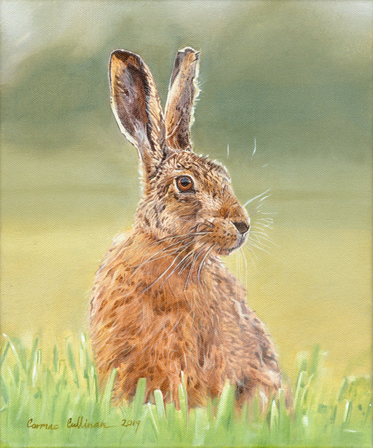 Hare - Giclee Print