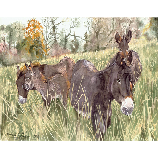 Donkeys at Lough Meelagh - Giclee Print 20x16'' inches on Fine Art Paper or Canvas.